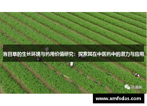 盲目草的生长环境与药用价值研究：探索其在中医药中的潜力与应用